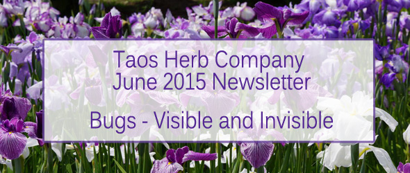 taos herb company June 2015 news 