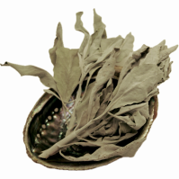 California White Sage Clusters & Leaf Repack Organic