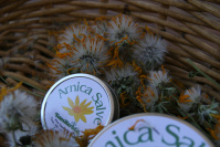 Arnica Salve 1oz 