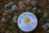 arnica-salve-4oz