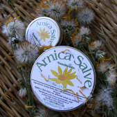 arnica-salve