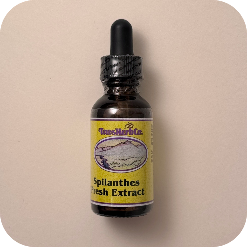 Spilanthes Fresh Extract 4oz