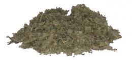 Mullein Leaf Repack 16oz