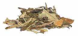 Yerba Santa - Holy Herb Repack 16oz