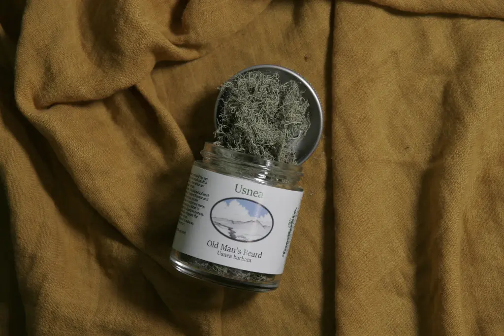 Usnea Jar 0.3oz