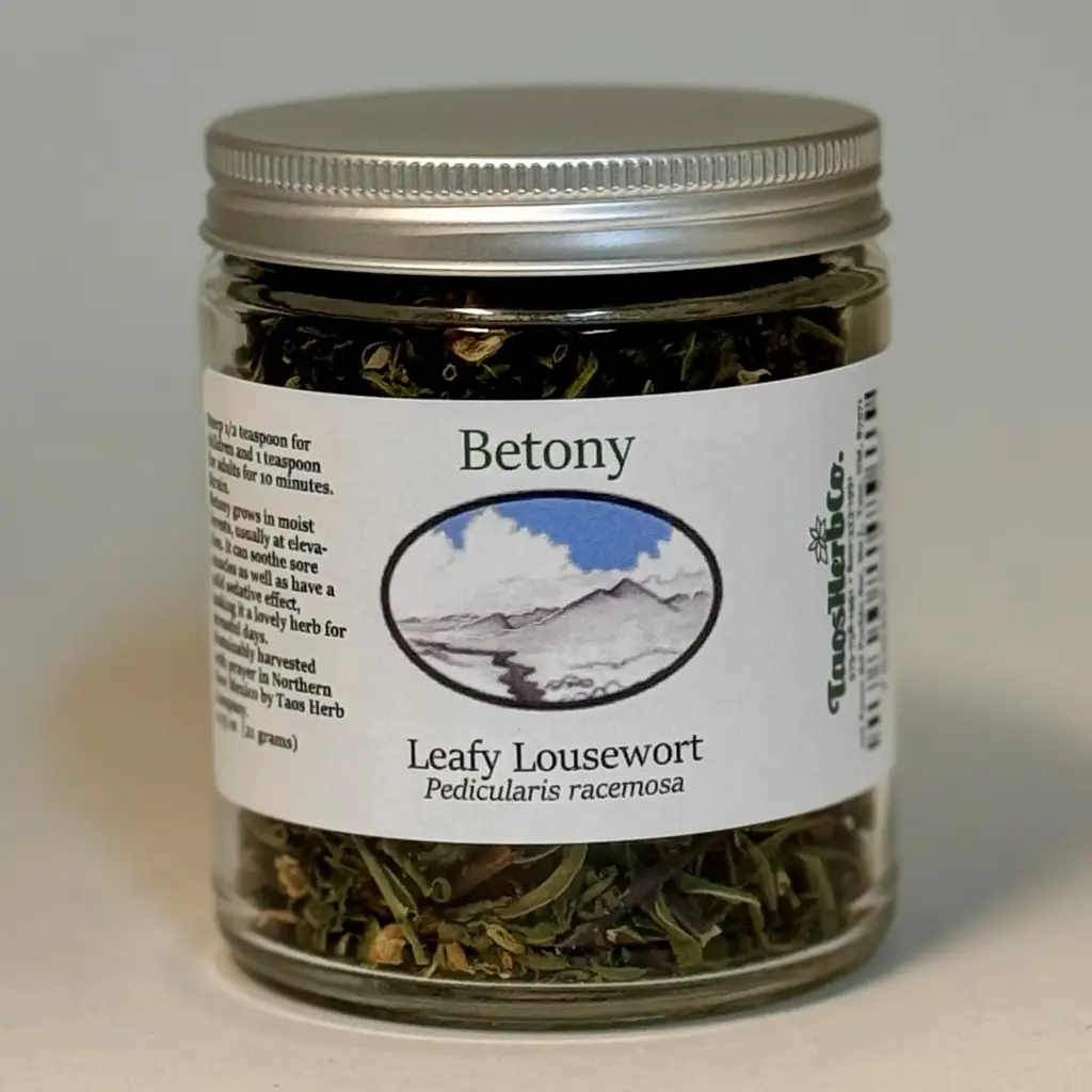 Betony Jar 0.75oz