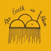 Rain Cloud Cotton Flag