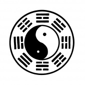 Yin Yang Muslin Flag