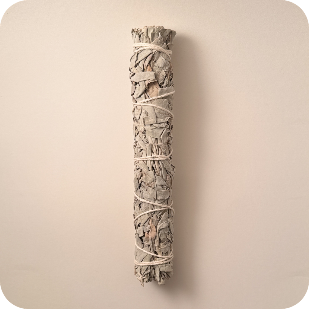 Smudge Stick White Sage 8-9" Cylinder