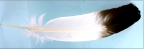 Feather Economy Imitation Eagle