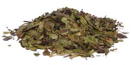 Uva Ursi leaf whole Repack 16oz