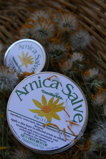 Arnica Salve 4oz