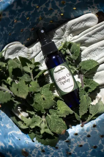 Catnip Oil Spray 2oz