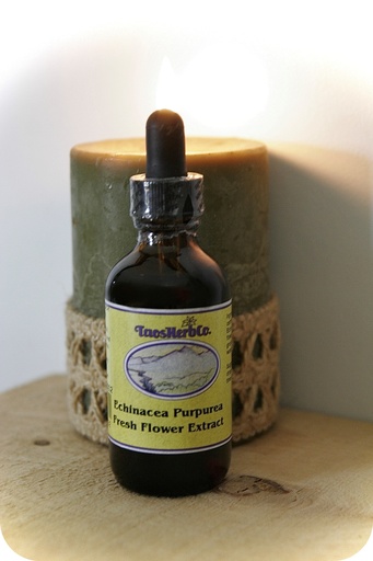 Echinacea P. Flower Fresh Extract 2oz