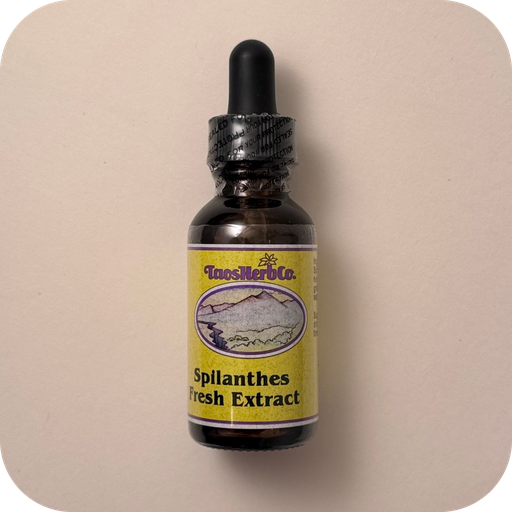 Spilanthes Fresh Extract 2oz