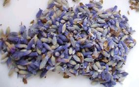 Lavender Flower Alhucema Organic Repack 2oz
