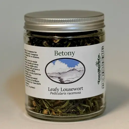 Betony Jar 0.75oz