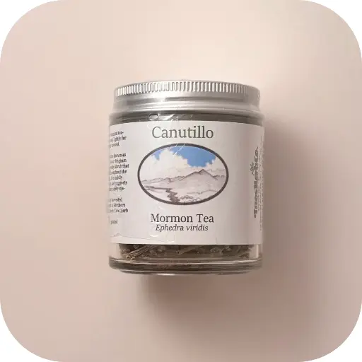 Canutillo (Mormon Tea) 0.75oz Jar