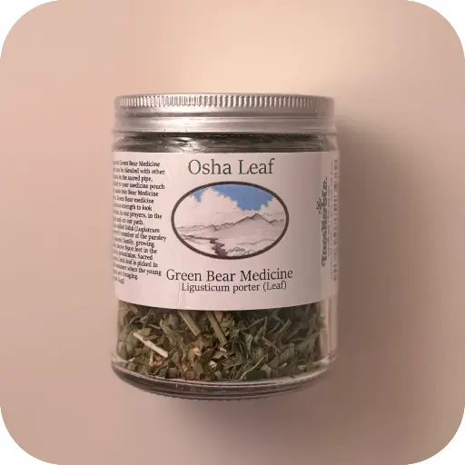 Osha Leaf (Green Bear Medicine) Jar 0.5oz