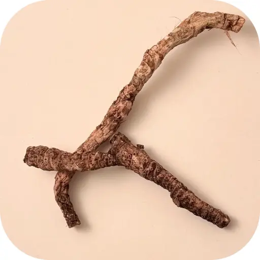 Bitterroot Repack 1oz
