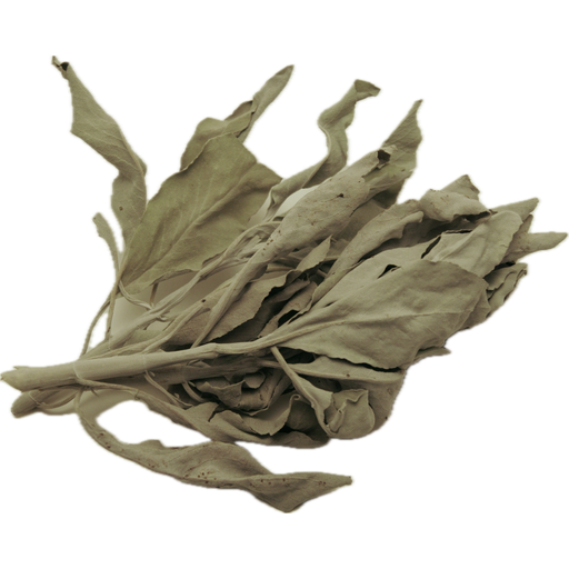 White Sage Cluster & leaf Repack 4oz